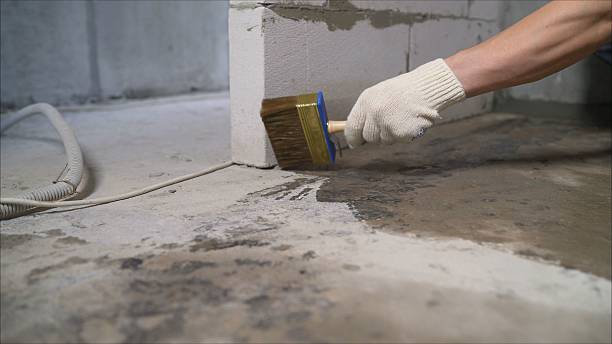 SJ Waterproofing Pros Emergency Waterproofing coverage map for Baroda, MI and surrounding area